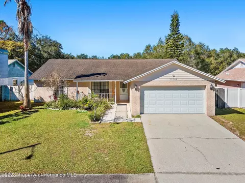 12708 Trucious Pl, Tampa, FL 33625