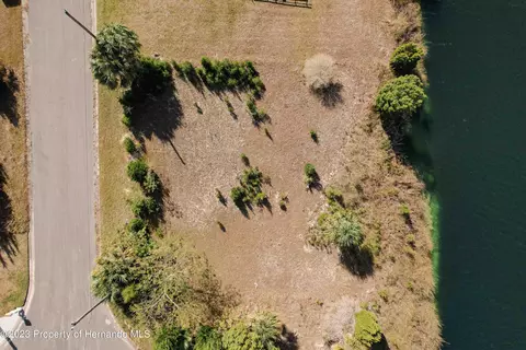 3341 Scarlet Sage Dr, Hernando Beach, FL 34607 photo 13