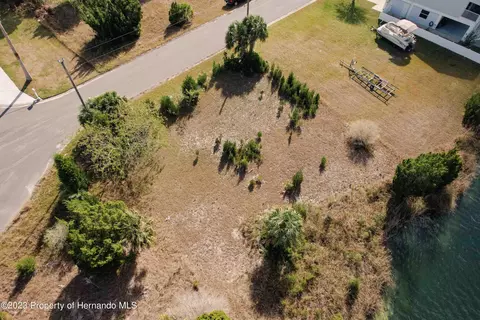 3341 Scarlet Sage Dr, Hernando Beach, FL 34607 photo 5
