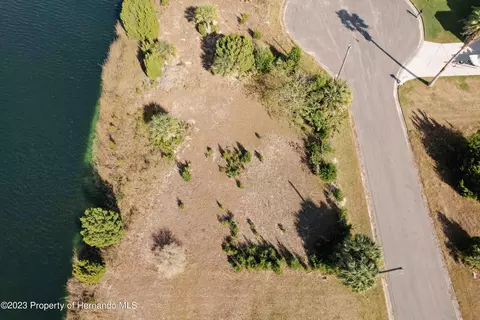 3341 Scarlet Sage Dr, Hernando Beach, FL 34607 photo 8