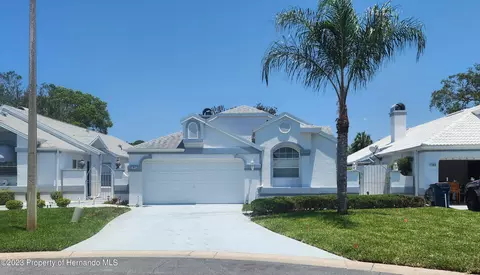 11015 La Paz Ct, Spring Hill, FL 34608 photo 1
