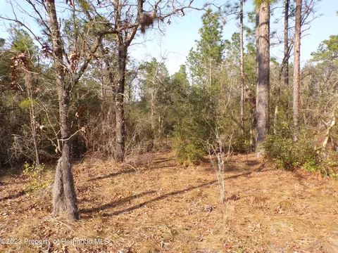 3741 W Citrus Springs Blvd, Citrus Springs, FL 34433
