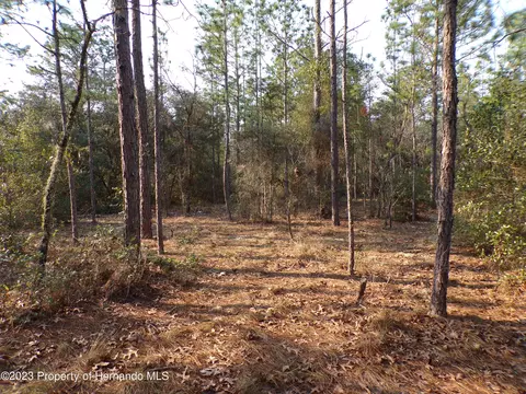 4130 W Citrus Springs Blvd, Citrus Springs, FL 34433