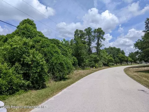 5425 Patricia Pl, Spring Hill, FL 34607