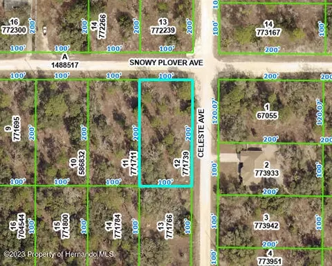 00 Snowy Plover Ave, Brooksville, FL 34614