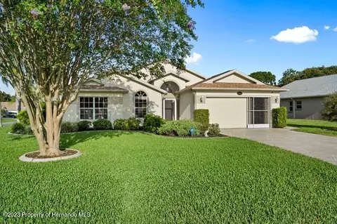 5103 Silhouette Ct, Spring Hill, FL 34607