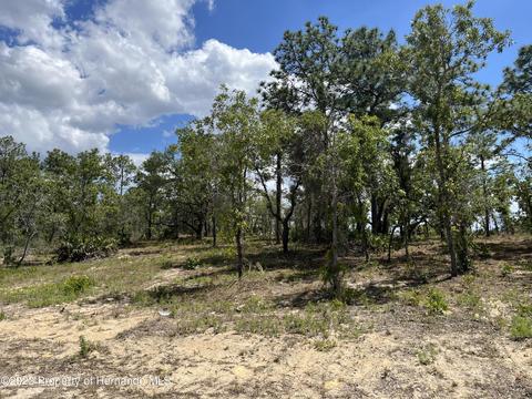 Lot 4 Flaccus, Brooksville, FL 34613