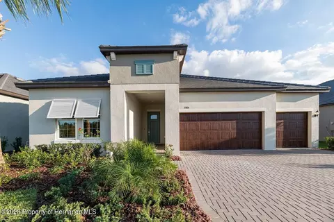 10647 Bailey Pearl Ct, Land O' Lakes, FL 34638