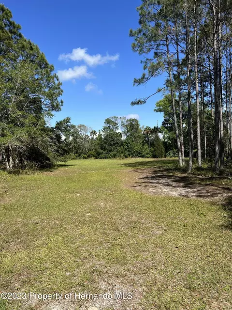 00000 SW 337th Ave, Cross City, FL 32628