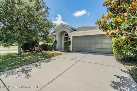 711 Alpine Thistle Dr, Brooksville, FL 34604