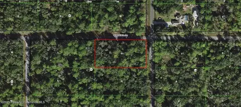 8336 N Maple Ave, Crystal River, FL 34428