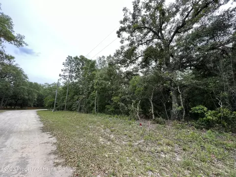 0 NW 80 Ct, Fanning Springs, FL 32693