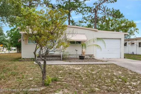 7362 Brookridge Central Blvd, Brooksville, FL 34613