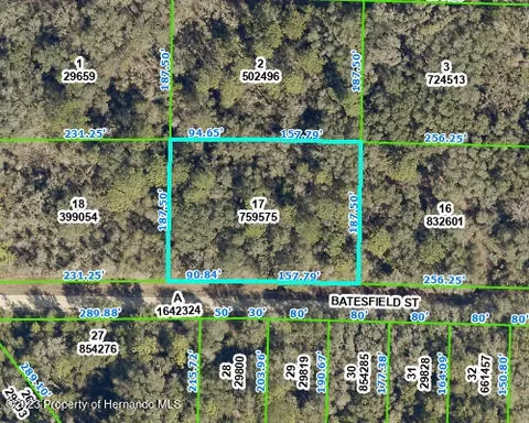 35013 Batesfield St, Webster, FL 33597