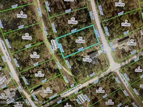 0 Earline Rd, Weeki Wachee, FL 34614