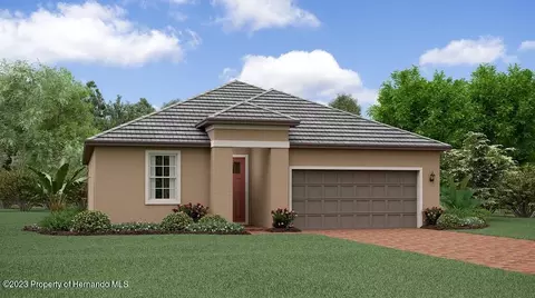 16811 Shell Bay Dr, Land O' Lakes, FL 34638