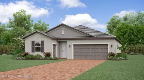 16792 Shell Bay Dr, Land O' Lakes, FL 34638