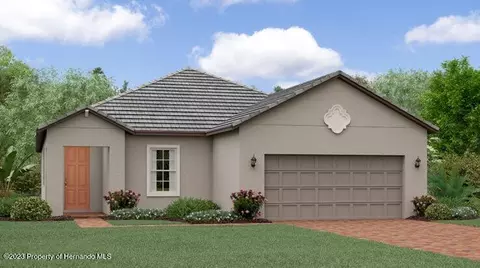 16802 Shell Bay Dr, Land O' Lakes, FL 34638