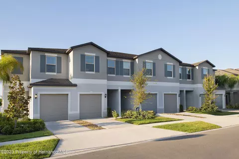 17602 Nectar Flume Dr, Land O' Lakes, FL 34638