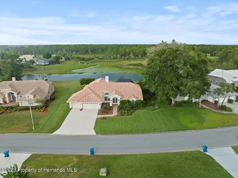 10025 Scarlett Ct, Weeki Wachee, FL 34613
