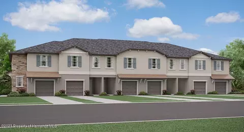 17442 Nectar Flume Dr, Land O' Lakes, FL 34638