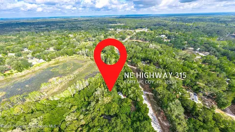 0 NE Hwy 315 NE, Fort Mc Coy, FL 32134