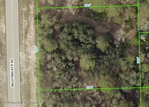 . Nightwalker, Weeki Wachee, FL 34613