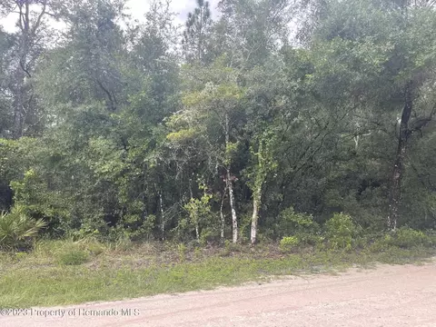 Lot 5 Easter, Webster, FL 33597
