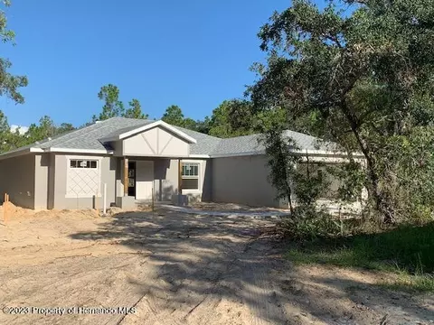 13321 Potomac Ave, Weeki Wachee, FL 34614