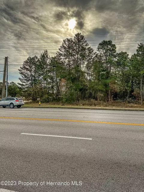 0 Spring Hill Dr, Spring Hill, FL 34609 photo 5