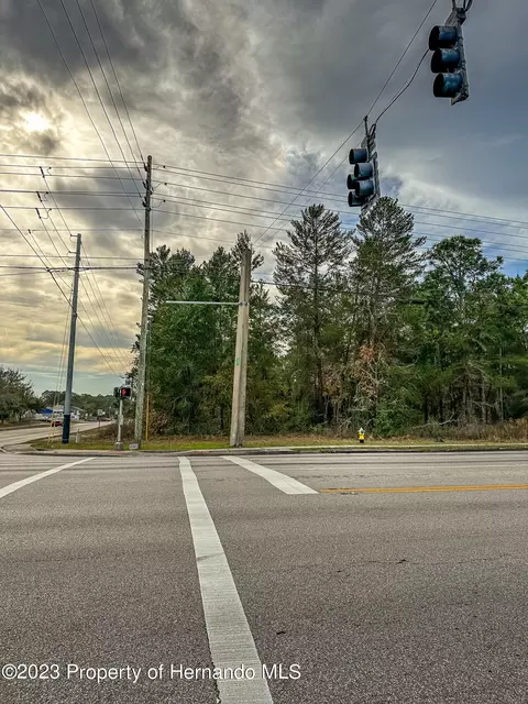 0 Spring Hill Dr, Spring Hill, FL 34609 photo 6