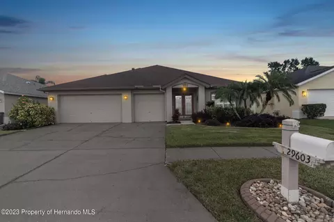 29603 Eagle Station Dr, Wesley Chapel, FL 33543