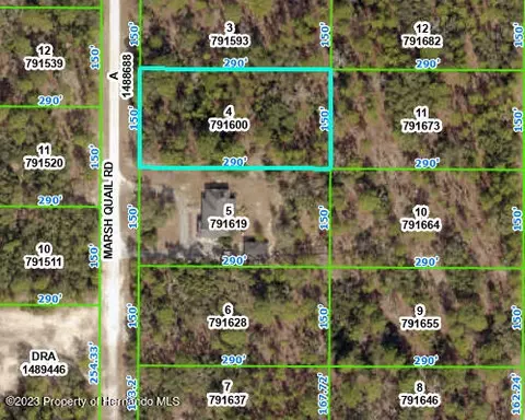lot4 Marsh Quail Rd, Weeki Wachee, FL 34614