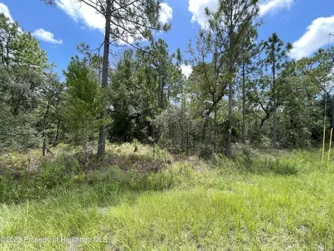 0 Sooty Tern Ave, Weeki Wachee, FL 34614