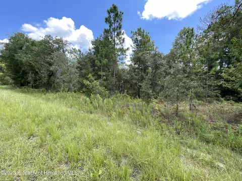 0 Sooty Tern Ave #3, Weeki Wachee, FL 34614