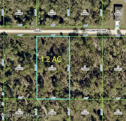 Lot 6 Yellow Frog, Weeki Wachee, FL 34614
