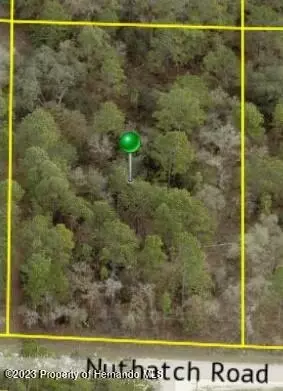 . Nuthatch Road, Weeki Wachee, FL 34614