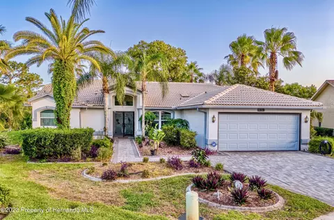 1319 Masada Ln, Spring Hill, FL 34608