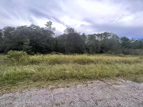 8676 N Elida Ave, Citrus Springs, FL 34434