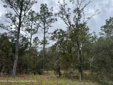 00 136th Ter SE, Dunnellon, FL 34431