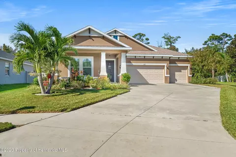 3171 Marisa Pl, Holiday, FL 34691