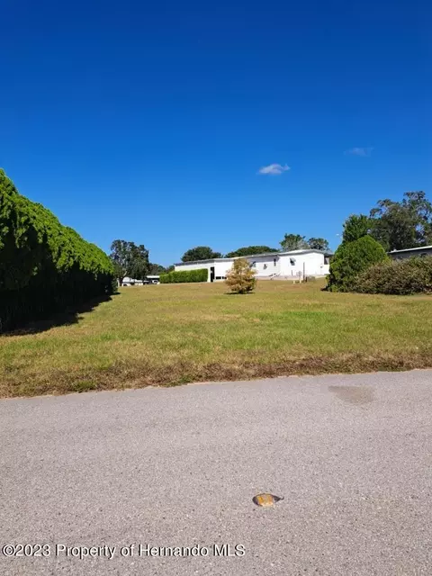 15099 Rialto Ave, Brooksville, FL 34613