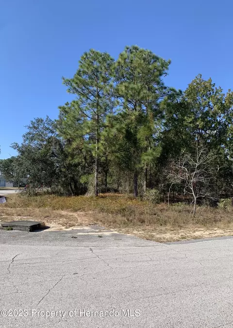 0 Norvell Rd, Spring Hill, FL 34608
