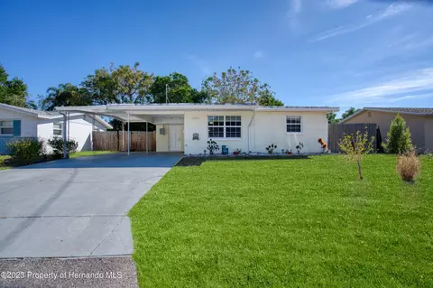 11034 Hassle Ave, Port Richey, FL 34668