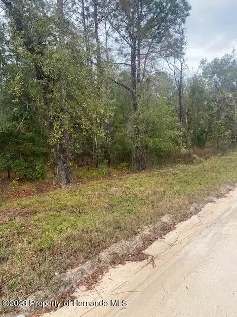 00 9th St NE #LOT 9, Williston, FL 32696