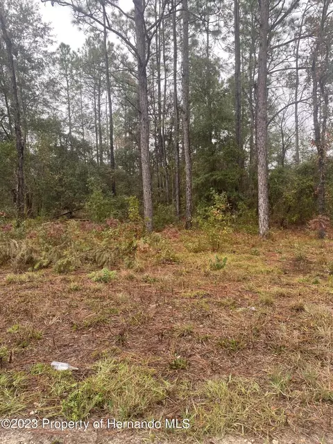 00 9th St NE #LOT 8, Williston, FL 32696