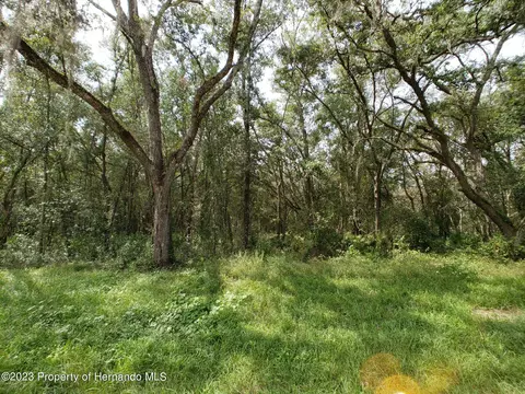 7303 Treiman Blvd, Webster, FL 33597 photo 1
