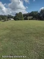 517 Dowling Cir, Lady Lake, FL 32159