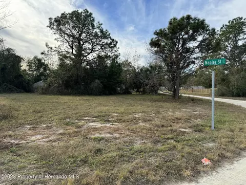 16056 Naples St, Brooksville, FL 34601