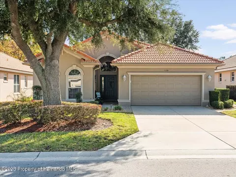 1136 W Skyview Crossing Dr, Hernando, FL 34442